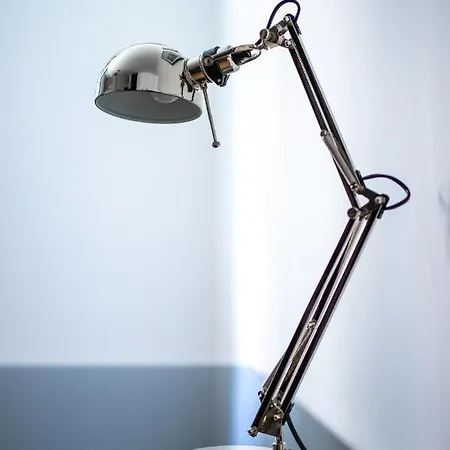 Le Cyrano De Bergerac