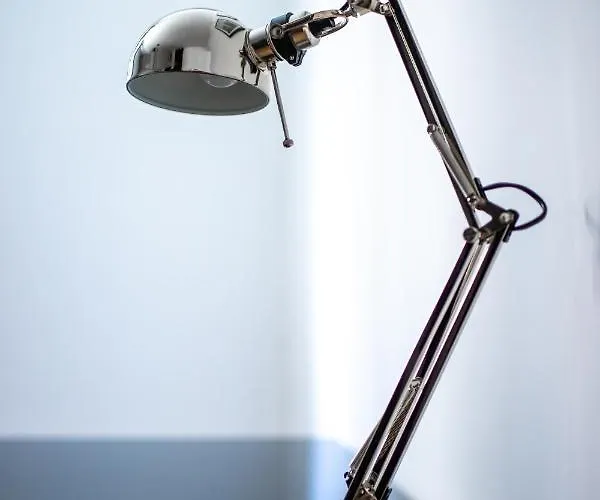 Le Cyrano De Bergerac